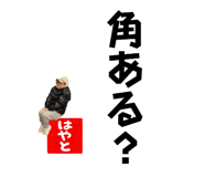 843301978