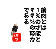 843301981