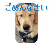 843302022