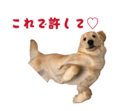 843302026