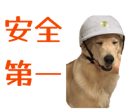 843302030