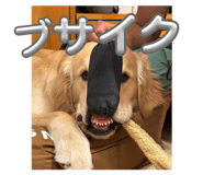 843302034