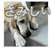 843302040