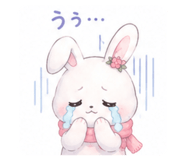 843302068