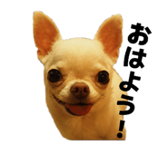843302121