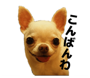 843302123