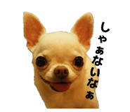 843302126