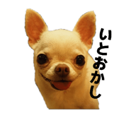 843302128