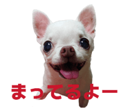 843302131
