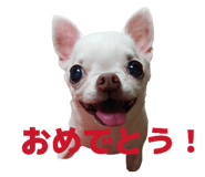 843302135