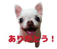 843302136