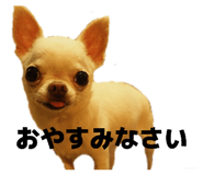 843302137