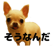 843302140