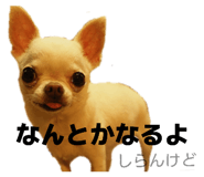 843302141