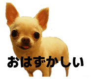 843302143