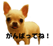 843302144