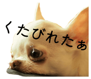 843302145