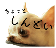 843302146