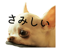 843302147