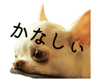 843302148