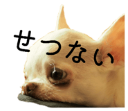 843302149