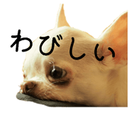 843302150