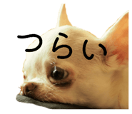 843302152