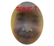 843302309