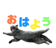 843302553