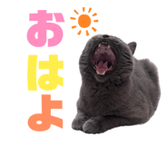 843302554