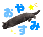 843302555