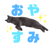 843302556