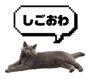 843302558