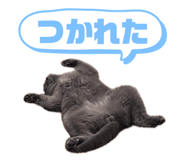843302559