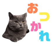 843302560