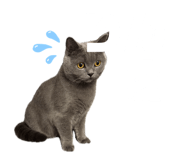 843302569