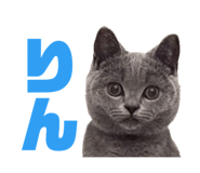 843302576