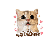 843302865