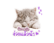 843302874