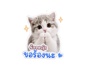 843302875