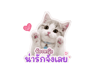 843302877
