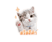 843302880