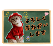 843303488