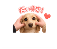 843303587