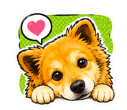 843303657