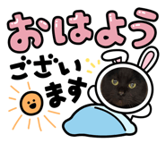 843303884