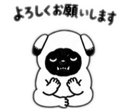 843303943