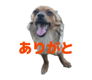 843303970
