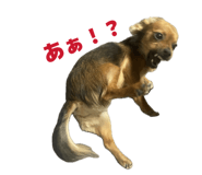843303976