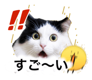 843304022